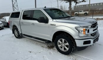 
										2019 Ford f150 1500 clean title full									