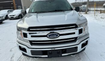 
										2019 Ford f150 1500 clean title full									