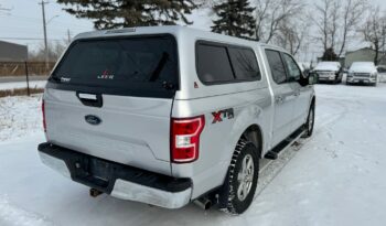 
										2019 Ford f150 1500 clean title full									