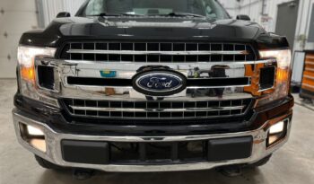 
										2020 Ford f150 1500 clean title, fully loaded full									