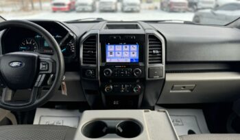 
										2019 Ford f150 1500 clean title full									