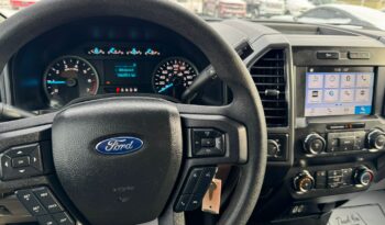 
										2019 Ford f150 1500 clean title full									