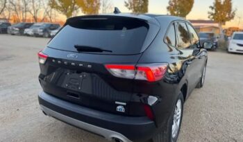 
										2020 FORD ESCAPE  CLEAN TITLE full									