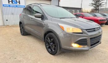 
										2013 FORD ESCAPE FULLY LOADED  CLEAN TITLE AWD full									