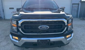 
										2023 FORD F-150, XLT CREW CAB SHORT  4X4 CLEAN TITLE full									