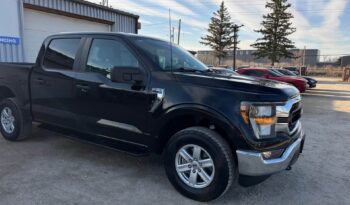 
										2023 FORD F-150, XLT CREW CAB SHORT  4X4 CLEAN TITLE full									